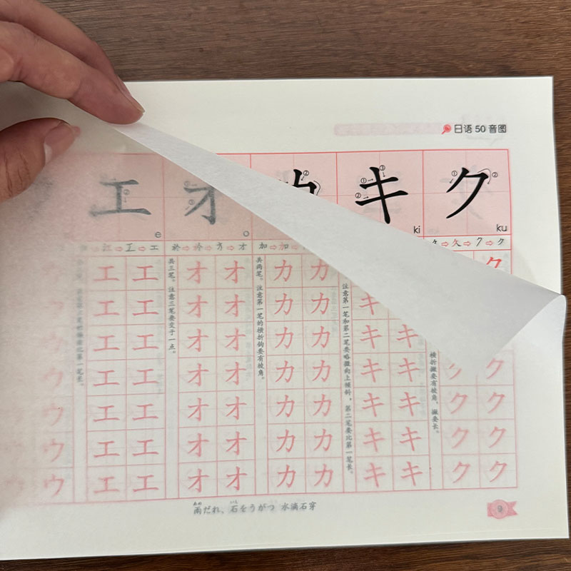 Zero Beginner Japanisches Hira – Chinese Calligraphy Practice Book Bewertung und Preis